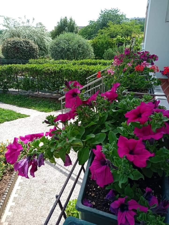 La Cjase Di Pieri E Vilme Bed & Breakfast Udine Luaran gambar